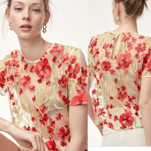 Aritzia Tops - Aritzia little moon sheer embroidery floral top